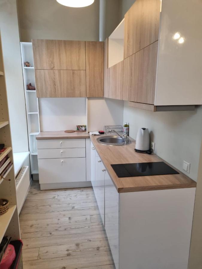 Igo Apartment Uzupis VNO Exteriör bild